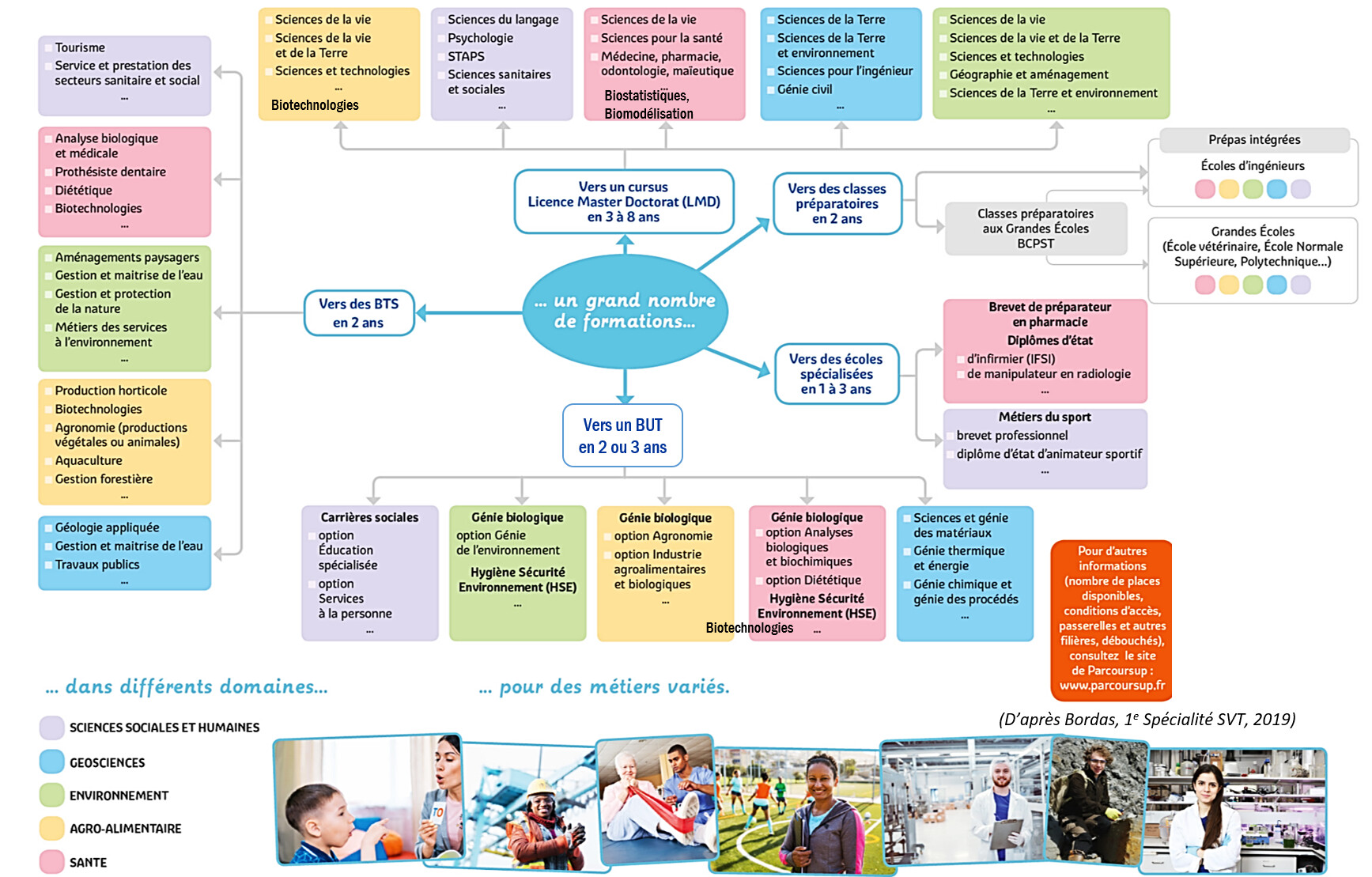 Image Orientation Spécialité SVT